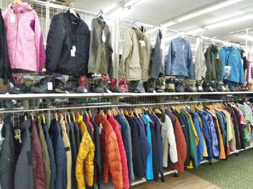 24年11月14日:画像7