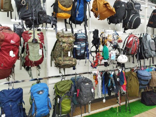 24年11月14日:画像8