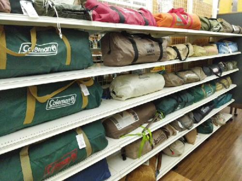 24年11月14日:画像9