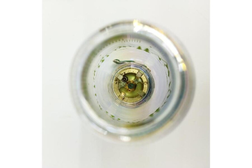 25年03月25日：画像６