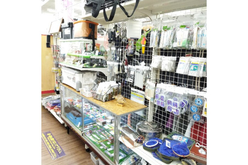 25年04月28日：画像８