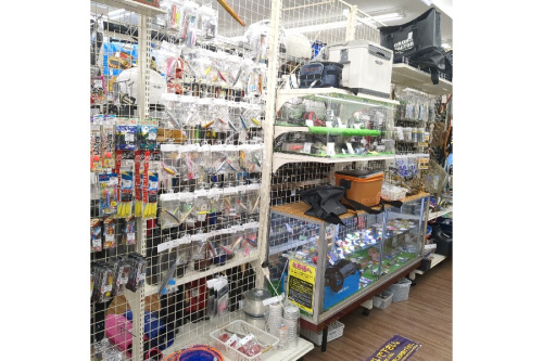 25年05月21日:画像9