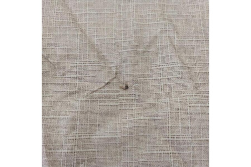 25年06月18日：画像９