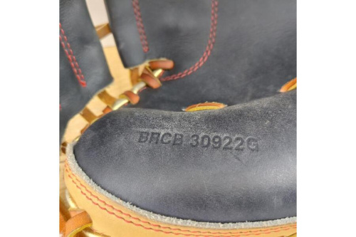 25年06月21日：画像７