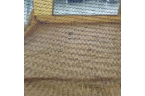 25年06月25日：画像９