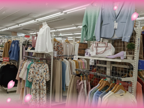 ピックアップブログ画像４