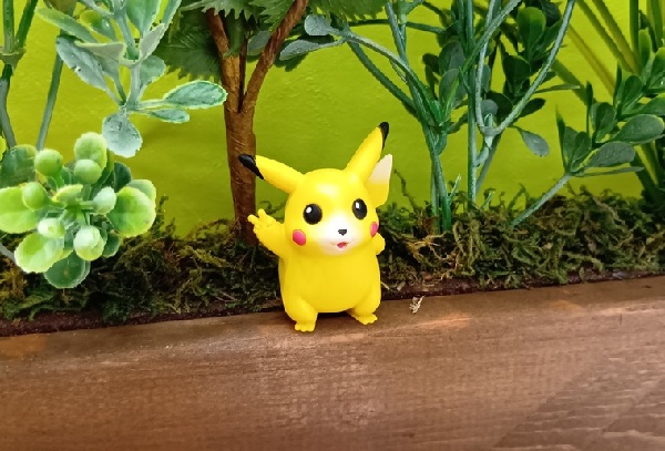 ポケモンマスター必見！希少なポケモン初期アイテム入荷しました