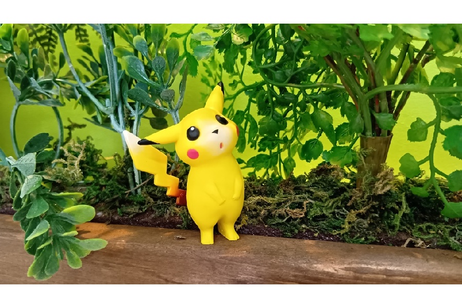 ポケモンマスター必見！希少なポケモン初期アイテム入荷しました