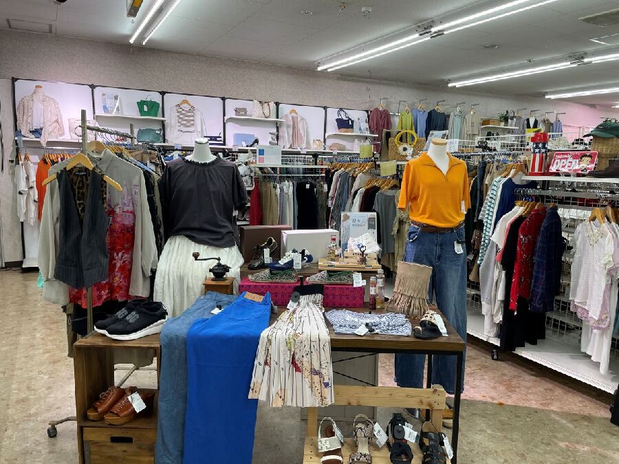 SCOLAR☆カットソー入荷しました！｜2026年06月27日｜静岡県の
