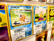 旧裏引退品まとめ売り 約250種類被り無し ポケモンカード引退品 1 旧裏まとめ売り キラ多数 旧裏面｜Yahoo