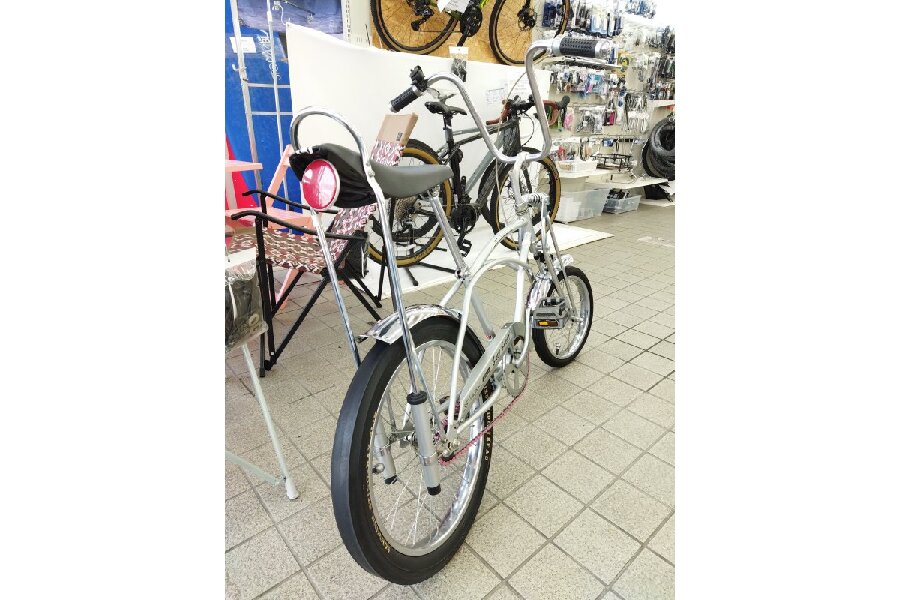 ドクロ?? SCHWINN STING-RAY GRAY GOOST ミニビーチクルーザー ドクロ?? SCHWINN STING-RAY GRAY GOOST ミニビーチクルーザー