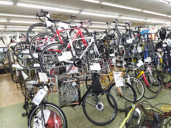 レンタルサイクル始めました!!スポーツバイクの楽しさを体感しま レンタルサイクル始めました!!スポーツバイクの楽しさを体感しま
