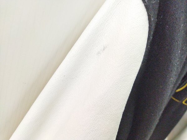 希少】MIZUNO PRO×阪神タイガース レザースタジャンを入荷いたしました