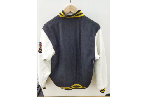 ミズノプロ 阪神タイガース スタジャン ミズノプロ 阪神タイガース スタジャン ジャンパー - メルカリ